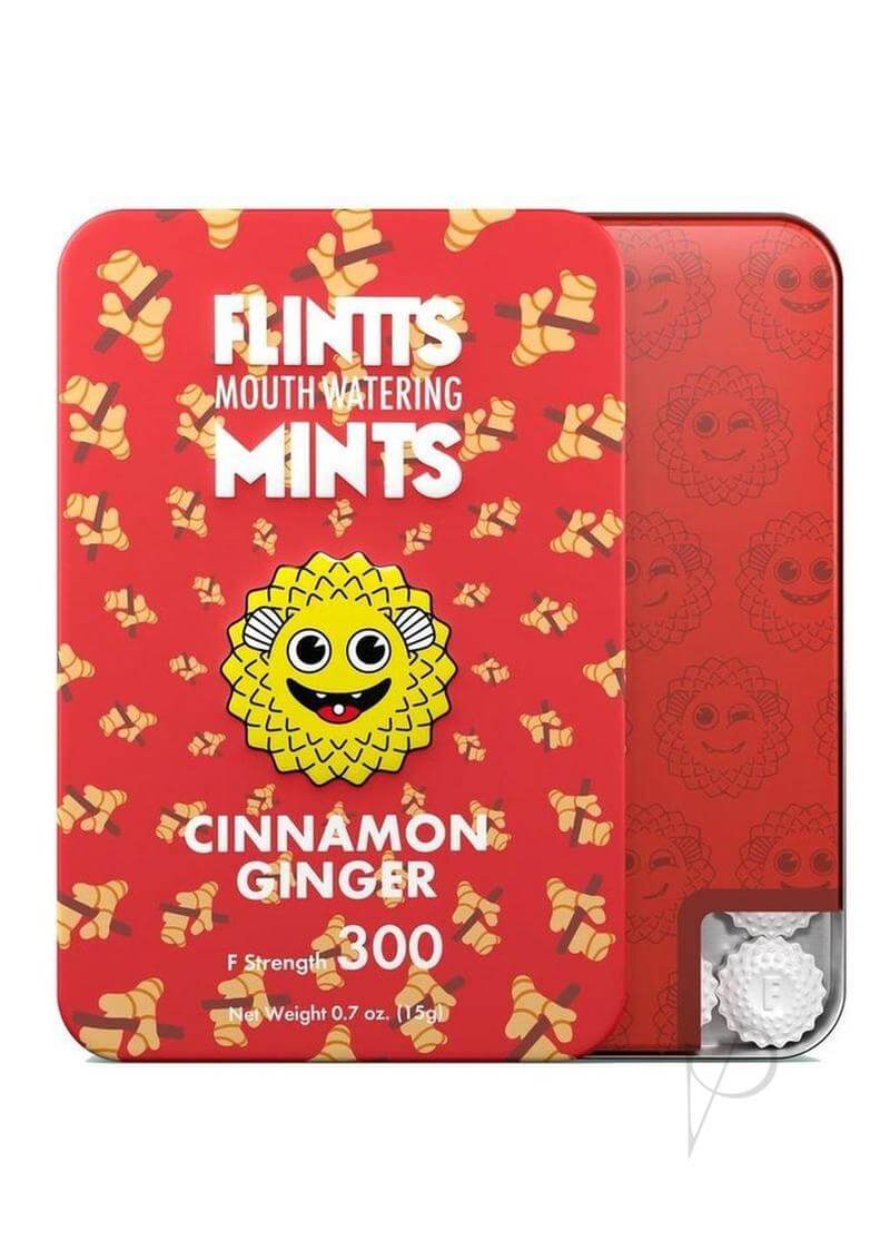 Flintts Mouth Watering Mints Cinnamon Ginger packaging featuring a playful design and vibrant colors.