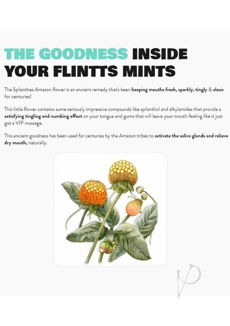 An illustration of the Splilanthes Amazon flower, highlighting its benefits in Flintts Mouth Watering Mints Strawberry Magic.