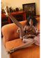 Naomi Sex Doll 158 cm Vibration Suction and Voice Chocolate posed elegantly on a couch, showcasing her lifelike features.