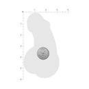 Pastease Penis Holographic Silver Dick Nipple Pasties size comparison with a quarter for scale.