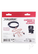 Punishment Choker and Nipple Clamps Rose Gold packaging featuring black collar and rose gold hardware.