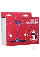 Punishment PU Leather Body Harness Purple and Silver packaging showing the stylish design with bonus blindfold.