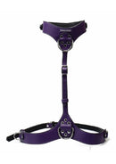 Punishment PU Leather Body Harness Purple and Silver with bold purple straps and silver hardware.