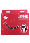 Punishment Spiked Choker Rose Gold packaging with spikes, O-ring, and blindfold accessory.
