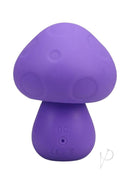 Mochi Mushroom Vibe Silicone Rechargeable Vibrator Purple in soft silicone material with a mushroom shape design.