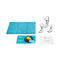 b Vibe Stainless Steel P Spot Plug Training Set including three plugs and packaging.