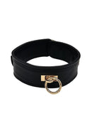 Leather Plain Collar with Gold Accessories featuring polished gold-tone hardware and removable O-ring accent.