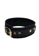 Leather Plain Collar with Gold Accessories featuring polished gold-tone hardware and adjustable design.