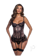 Roma Bella Bustier Thong Set Medium Leopard featuring sultry leopard print and lace detailing.