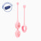 Biird Yonii 2 Piece Rose Quartz Eggs Set with free storage case in blue background.