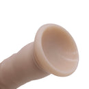 Adam & Eve My First Willy 5.25 Inch Silicone Dildo with realistic texture and defined head for beginner-friendly use.