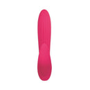 Adam & Eve Eve's Bliss Vibrator in pink, designed for blended G-spot and clitoral stimulation.