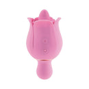 Adam & Eve Eve's Ravishing Clit Flicking Rose Vibrator, pink silicone dual-ended vibrator with clitoral stimulator.
