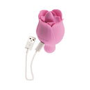 Adam & Eve Eve's Ravishing Clit Flicking Rose Vibrator in pink with USB charging cable.