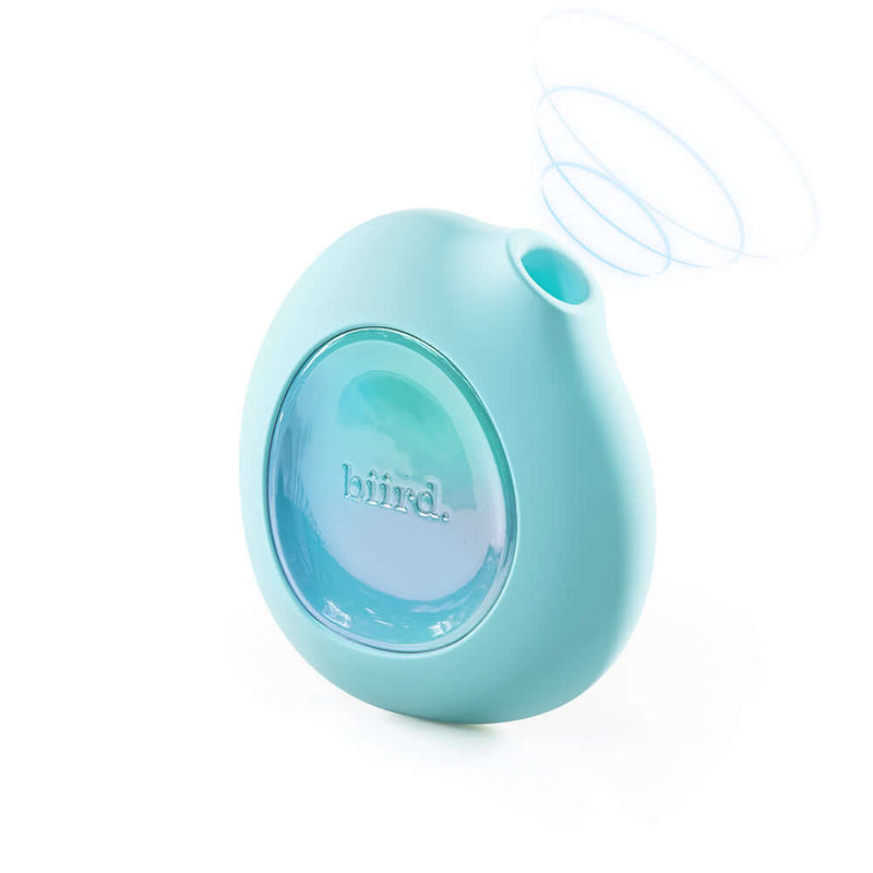 Biird Lumii Clitoral Suction Stimulator Mint in mint green color designed for portability and pleasure.