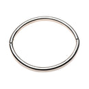 Master Series Possession Stainless Steel Locking Collar S displayed on a white background.