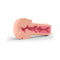 Mystim Opus E- Masturbator Vagina showcasing realistic internal textures and electrostimulation features for enhanced pleasure.