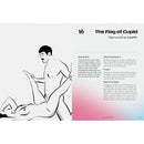 Illustration from Kama Sutra Nights 64 Classic Sexual Positions Book depicting The Flag of Cupid position.
