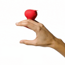 Cute Little Fuckers Morrie Mushroom Vibrator Red held in a hand, showcasing its playful design and ergonomic shape.