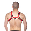 Prowler Red Bull Leather Harness Black and Red XL worn from behind showcasing bold design and quality leather craftsmanship.