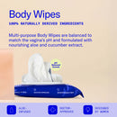 Dame Body Wipes 12 Count Aloe and Cucumber packaging with information on natural ingredients and pH balanced formula.