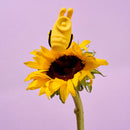 Camtoyz Clitoral Thumper Bumble Bee on a sunflower, designed for playful and intense sensations.