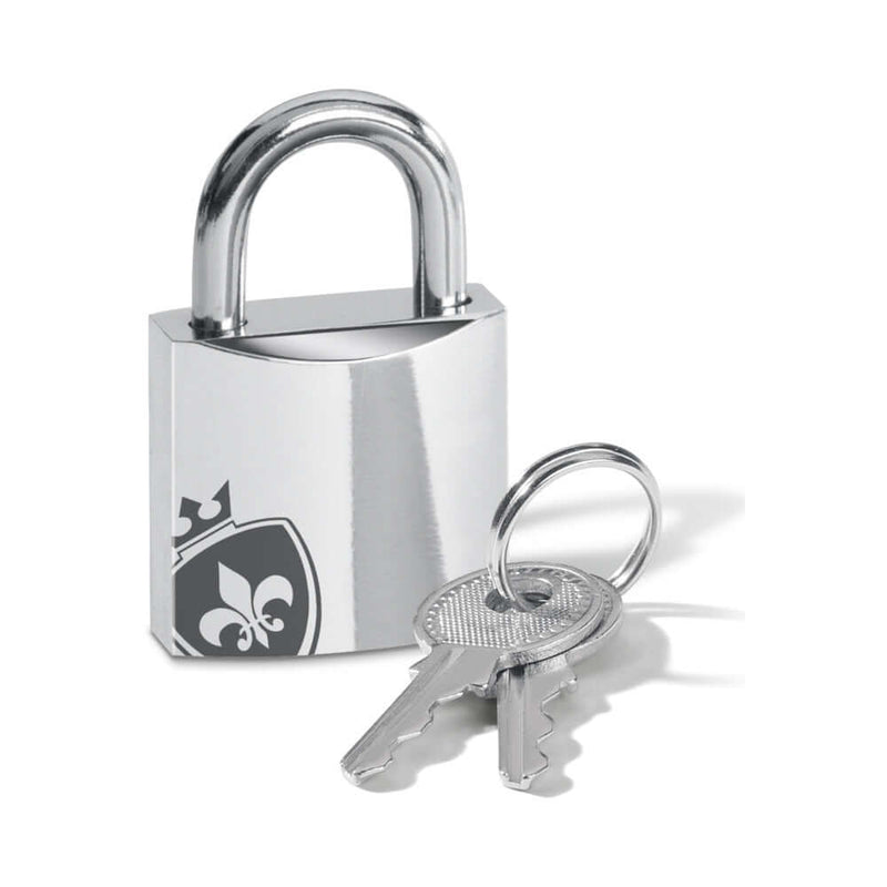 Mystim Pubic Enemy No 1 Electrosex Cock Cage with lock and keys for secure restraint and stimulation.