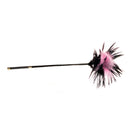 Sex Kitten Feather Tickler Pink and Black toy with soft pink and black feathers for playful teasing.