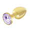 Rianne S 2-Piece Booty Plug Luxury Set Gold featuring a shiny gold plug with a purple gem.