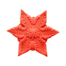 Cute Little Fuckers Starsi Palm Vibrator Coral in coral color with a playful star design, made from premium silicone.