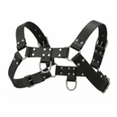 Strict Leather English Bull Dog Chest Harness Black showcasing a bold design with leather and metal for fetish outfits.