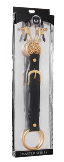 Master Series Penitentiary Nipple Clamps & Cock Ring Set in packaging with adjustable fit and weighted chains.