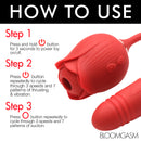 Instructions for using the Bloomgasm 10X Romping Rose Suction and Thrusting Vibrator with steps listed.