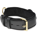 Master Series Tracer Vegan Leather Tracking Collar Black with gold hardware and adjustable strap.