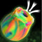 GLOW ROSE GLOW-IN-THE-DARK CLIT STIMULATOR-1