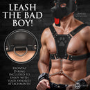 Master Series Alpha Pup Bulldog Harness Black featuring a frontal D-ring for attachments, shown on a model.