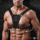 Master Series Alpha Pup Bulldog Harness Black shown on a model highlighting adjustable fit and bold design.