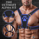 Master Series Alpha Pup Bulldog Harness Blue on a model showcasing the ultimate alpha fit with paw print design.
