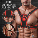 Master Series Alpha Pup Bulldog Harness Red on a muscular model showcasing its bold design and features.