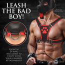 Master Series Alpha Pup Bulldog Harness Red featuring durable vegan leather, a D-ring, and striking red design for pup play.