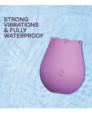 Cosmopolitan X plusOne Rose to the Top Vibe in purple, featuring strong vibrations and fully waterproof design.