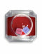 Kinky Sex Pop Dice Game with provocative commands "nipples" and "bite" displayed in a clear case