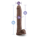 Au Naturel Daddy 14 Inches Sensa Feel Dual Density Dildo dimensions showing 14 inches tall and 2.5 inches wide.