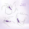 Blush Evelyn Purple Rabbit Vibrator illustration showing different ways to use for targeted sensations with RumboTech vibrations.