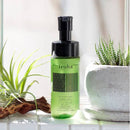 Tenga Iroha Intimate Wash Bergamot 150 ml displayed in a bright setting with potted plants.