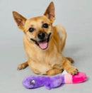 SCRUFFY BUNNY VANDERPUMP DOG TOY-1