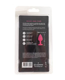 Camtoyz Solari Anal Plug Rainbow packaging featuring stainless steel and heart-shaped design.