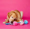 SCRUFFY TUG BUTTONS DOG TOY-1