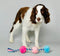 SCRUFFY TUG BUTTONS DOG TOY-2