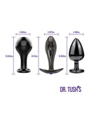Dr Tush's Bad Decisions Collection Anal Plug Set Metal displaying three premium plugs with measurements.